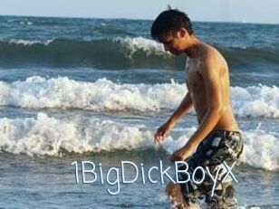 1BigDickBoyX