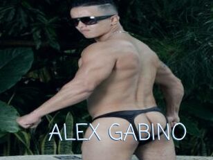 ALEX_GABINO