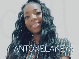 ANTONELAKEYS
