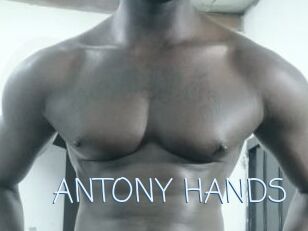 ANTONY_HANDS