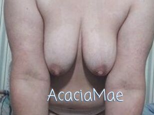 AcaciaMae