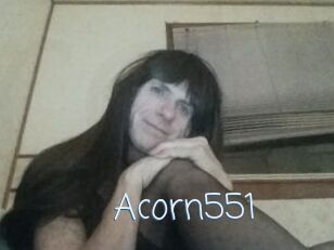 Acorn551
