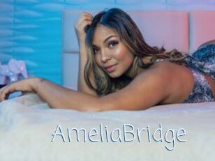 AmeliaBridge