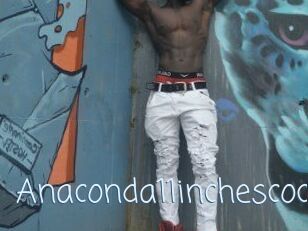 Anaconda11inchescock