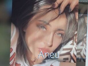 Aneu