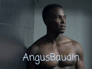 AngusBaudin
