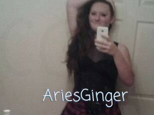 AriesGinger