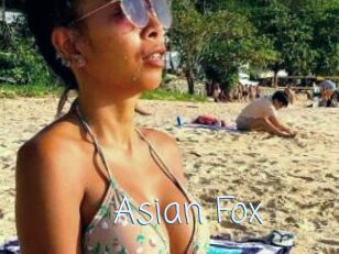 Asian_Fox