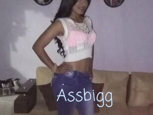 Assbigg
