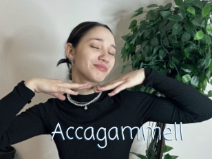 Accagammell