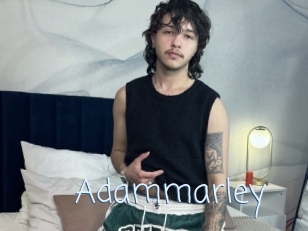 Adammarley