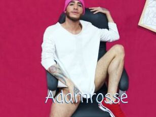Adamrosse