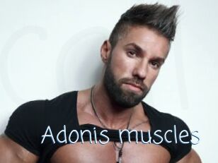 Adonis_muscles