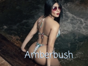 Amberbush