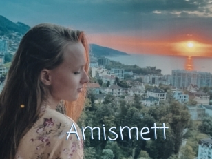 Amismett