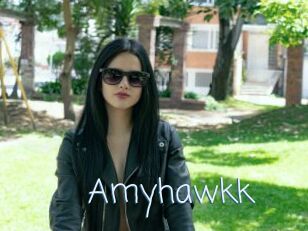 Amyhawkk