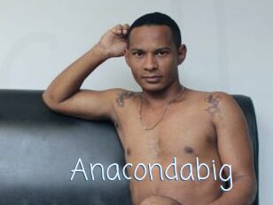 Anacondabig