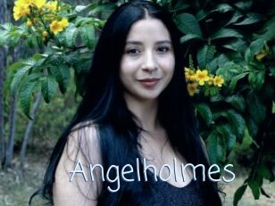 Angelholmes