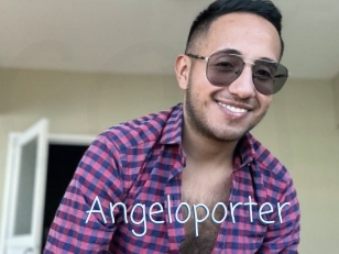Angeloporter