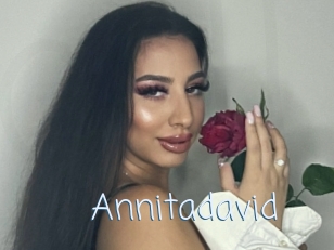 Annitadavid