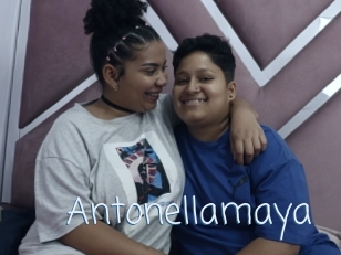 Antonellamaya