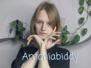 Antoniabiddy