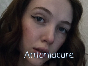 Antoniacure