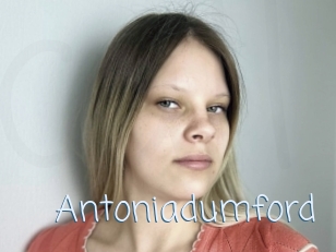 Antoniadumford