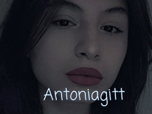 Antoniagitt