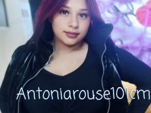 Antoniarouse101cm