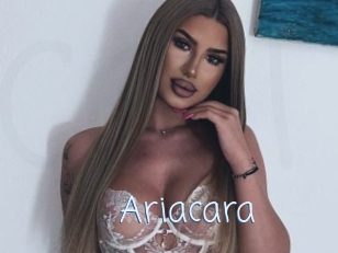 Ariacara