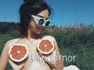 Arinaamor
