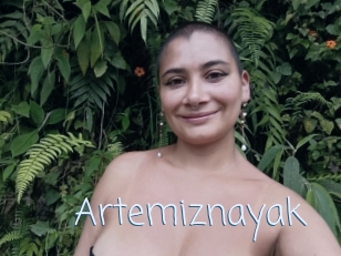 Artemiznayak