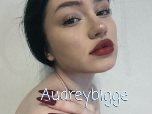 Audreybigge