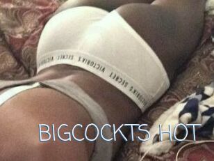 BIGCOCKTS_HOT