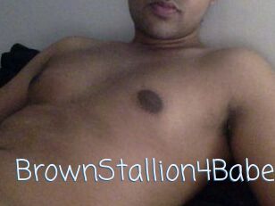 BrownStallion4Babes