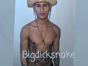 Bigdicksnake