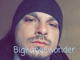 Bigkaneswonder