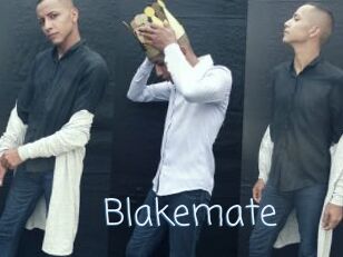 Blakemate