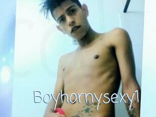 Boyhornysexy1