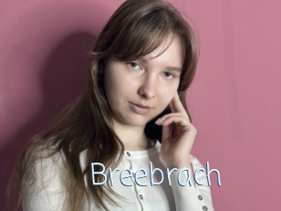 Breebrach