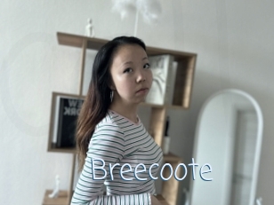 Breecoote