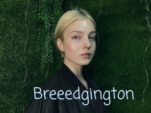 Breeedgington