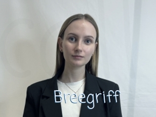Breegriff