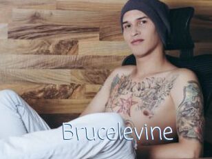 Brucelevine