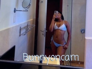 Bunnyoncam