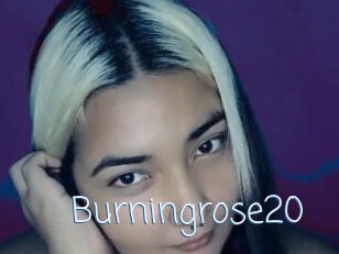 Burningrose20