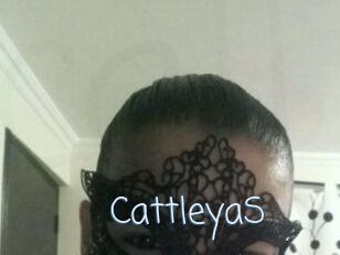 Cattleya_S