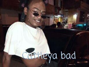 Cattleya_bad