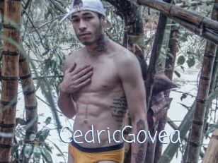CedricGovea